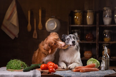 Two Dogs Kissing Kitchen Table Vegetables