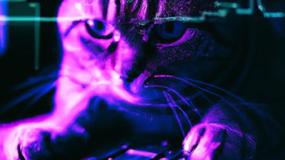 Dall·e 2023 11 09 11 48 56 Synthwave Image Of A Cat Using A Computer, The Cat Is A Hacker