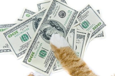 Pfi cat Paw On Money