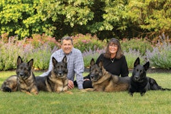 Volhard owners Brian and Lisa Berg are carrying on a 50-year legacy of high-quality dog nutrition alongside the dogs they train at their 24-acre canine training facility. (Pictured here: German Shepherds Thunder, Justice, Legend and Blackjack.)