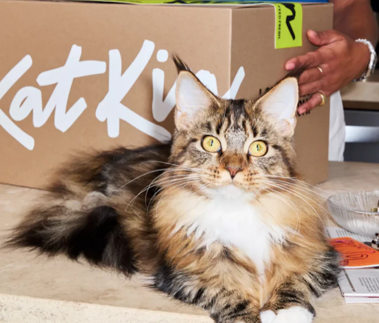 New investor injects funds into UK cat food manufacturer | PetfoodIndustry