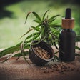 Cbd Hemp Leaves Seeds Cbd Infos Com Pixabay
