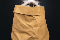 Cat owners have long known their animals are worth it, and now the pet food industry may be catching up.