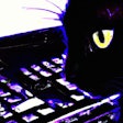 Dall·e 2023 11 09 12 15 39 Synthwave Drawing Of A Yellow Eyed, Black Cat Using A Computer