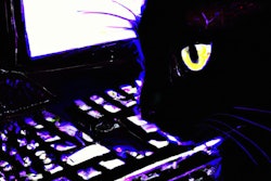 Dall·e 2023 11 09 12 15 39 Synthwave Drawing Of A Yellow Eyed, Black Cat Using A Computer