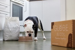 Globe Buddy Brown Gammelmark Photography