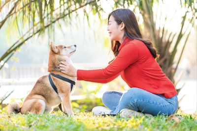 As Japanese pet owners increase the humanization of their pets, they are beginning to consider what domestic pet food brands may have to offer that imports can’t match.