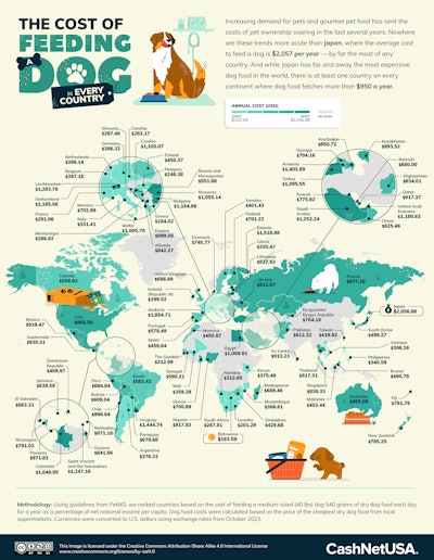 Study reveals the cost to feed your dog in every country Petfood