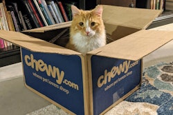 Cat In Chewy com Box Andrea Gantz
