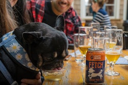 Cindy James developed Fetch as a sustainable, healthy, hydrating alternative treat pet owners can share with their dogs.