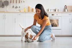 Terrier Eating Pet Owner