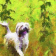 Dall·e 2023 06 14 13 41 53 Monet Painting Of Dog Running Through Hemp Field