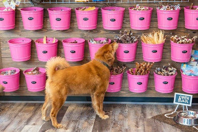 Woof Gang Ontario Store Painted Pink