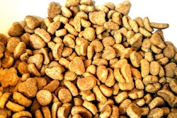 Cat Kibble Andrea Gantz