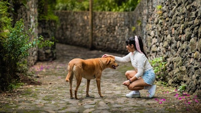 Dog And Woman Juliolopezmx Pixabay