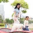 Pet owners in the Asia Pacific region are seeing more sustainable pet food options on their shelves, as consumer trends shift globally to more thoughtful consumerism