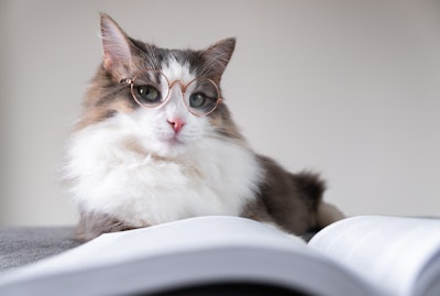 The newly introduced PURR Act would provide for centralized federal regulatory oversight by the FDA and eliminate inconsistent state interpretations and decisions impacting ingredient and pet food label approvals.