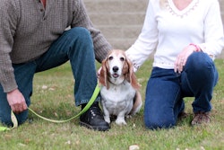 Dog parents reported being most financially impacted by increasing costs of pet food (63%), treats and toys (48%) and vet visits (47%) in Rover's True Cost of Pet Parenthood Report.