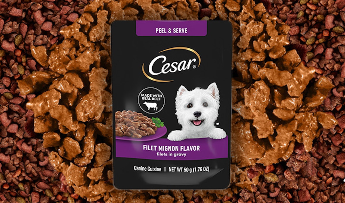 CESAR Filets in Gravy Wet Dog Food Mini Pouch PetfoodIndustry