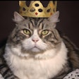 Dall·e 2023 06 14 08 33 35 Cat In Regal Attire Wearing Crown, In Style Of Titian Portrait