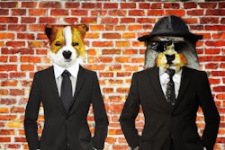 Dall·e 2024 03 15 09 26 39 Spraypainted Mural Of Dog And Cat In Business Suits On Urban Brick Wall