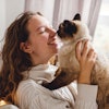The last several years have put humans in tune with their own health and wellness, leading to increased scrutiny and awareness of their pets’ needs, as well.