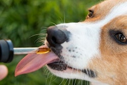 Pet Releaf introduced its first non-hemp-based supplements, including a postbiotic for dogs and cats of all ages and a fish-free Omega 3.