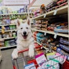Tractor Supply has a rapidly growing pet category that will now include Native Pet's dog supplements.