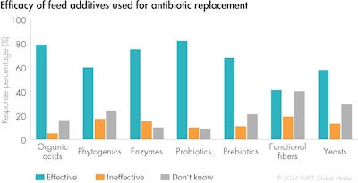 Efficacy Of Antibiotic Replacement Feed Additives 2024