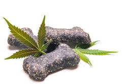 Rgbspace Big Stock com Cannabis Dog Treats