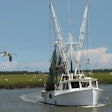 Shrimp Boat Surrounded By Gull Wollwerth Imagery