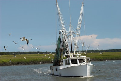 Shrimp Boat Surrounded By Gull Wollwerth Imagery