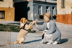 The generational shift is redefining the landscape of pet retail for the foreseeable future said a new report from pass-by.