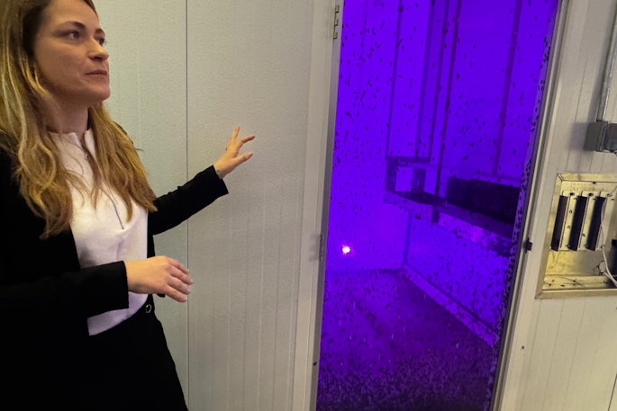 Maye Walraven, U.S. general manager at Innovafeed, displays one of the six insect cages at the recently opened North American Insect Innovation Center (NAIIC), on April 18.
