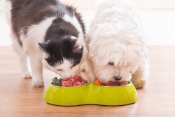 A new CoBank report said sales growth in the fresh pet food category segment demonstrates consumers’ willingness to pay a premium for pet foods perceived as providing specific health benefits.