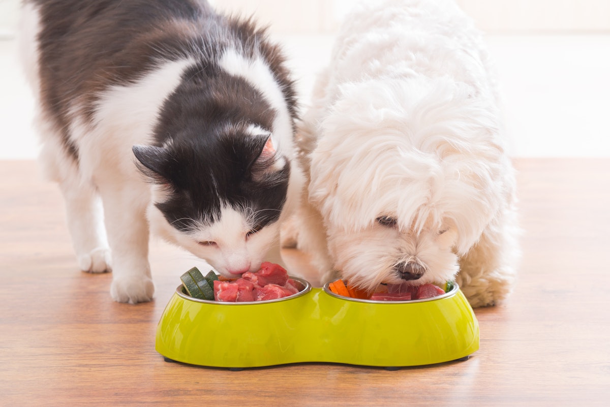 Fresh pet food sales surge with generational shift PetfoodIndustry