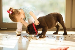 New pet food labeling guidelines will bring nutrition labels in line with those on human food products.
