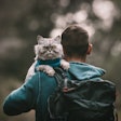 More men are adopting cats in the UK, finding them to be great companions as well as entertaining.