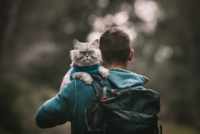 More men are adopting cats in the UK, finding them to be great companions as well as entertaining.