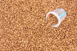 Viacheslav Blizniuk Fotolia com Pet Food With Measuring Cup Bkgrnd