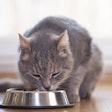 A recent survey found cat parents highly value the quality of the ingredients above price and type of food.