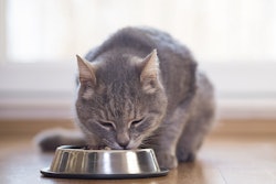 A recent survey found cat parents highly value the quality of the ingredients above price and type of food.