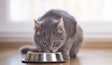 A recent survey found cat parents highly value the quality of the ingredients above price and type of food.