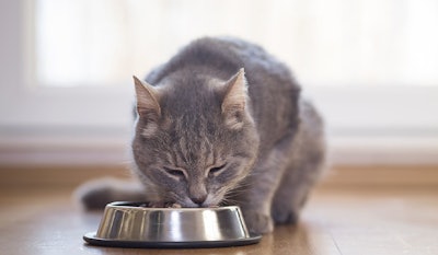 A recent survey found cat parents highly value the quality of the ingredients above price and type of food.