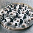 Dall·e 2024 05 31 09 14 03 A Cgi Rendering Of A Petri Dish Containing Tombstones The Dish Shows Patches Of Dead And Dried Up Bacteria The Tombstones Are Scattered Throughout T