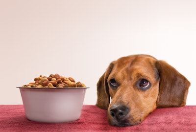 Dog kibble brands continue to grow, alongside and perhaps in spite of novel ingredient and similar trends.