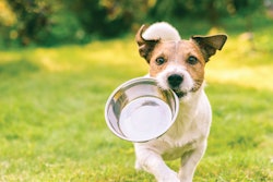 Trace mineral concentrations in pet food formulations can impact the nutritional balance and value of the final product.