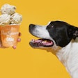 Van Leeuwen and Ollie collaborated to create a signature peanut butter and banana ice cream recipe for dogs.