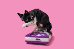 Communication, freshness, convenience and sustainability rank among packaging priorities for pet food.