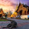 Pfi thailand Cat Temple Southeast Asia (tinapob Bigstock com)